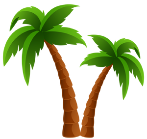 Palapa Umbrella Thatch Company Online