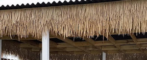 Mexican Palm Tiki Thatch Runner Roof Roll 55"x 3' - Palapa Umbrella Thatch Company Online