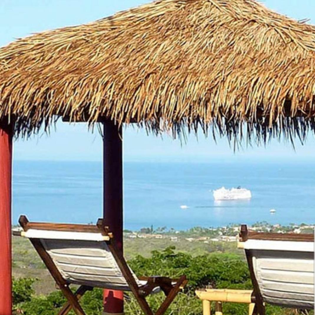 Buy Mexican Palm Tiki Thatch Runner Roof Roll 36
