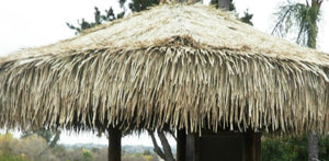 Mexican Palm Thatch Palapa Umbrella Top Cover 6ft - Palapa Umbrella Thatch Company Online